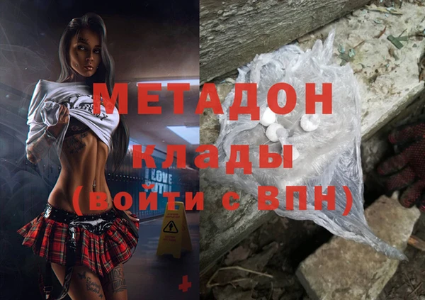 стаф Губаха