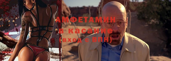 трава Аркадак