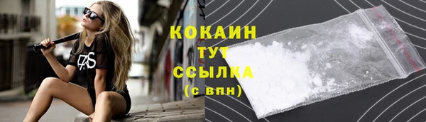 трава Аркадак