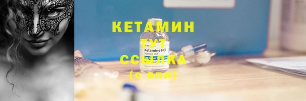 трава Аркадак