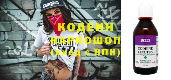 ПСИЛОЦИБИНОВЫЕ ГРИБЫ Богданович